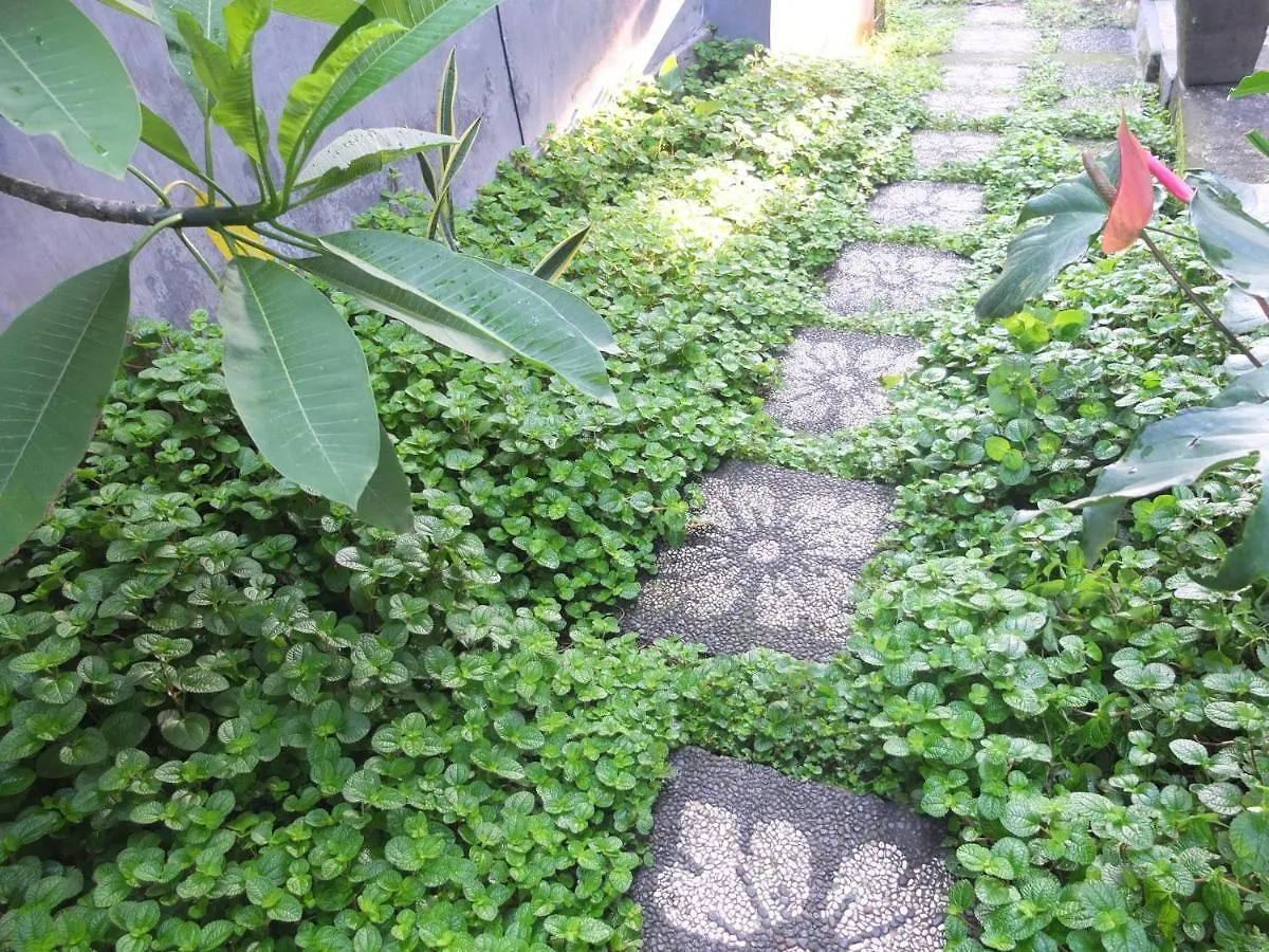 Ojek'S Homestay Ubud